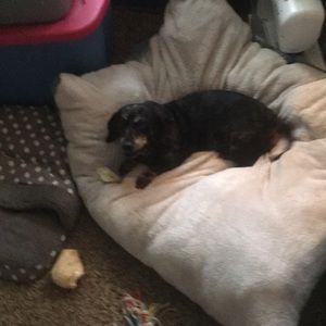 Meet your Posher, Brooklyn